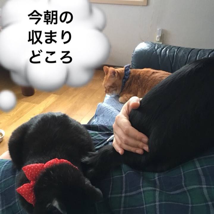 30bbaede bb80 4dc9 b4e4 b1a5380eb9d2 1544828903302