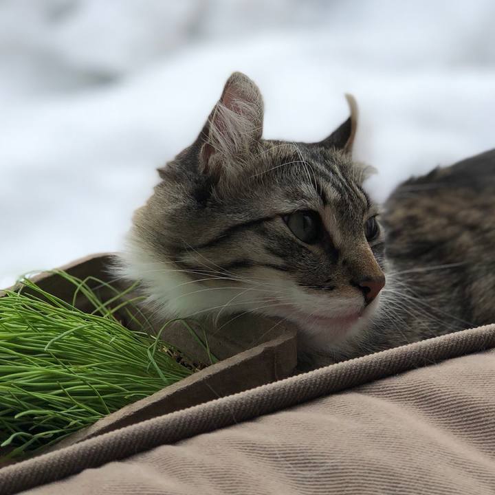 30bbd76b d744 4aaa a82a 4026eeb0d341 1520133586977