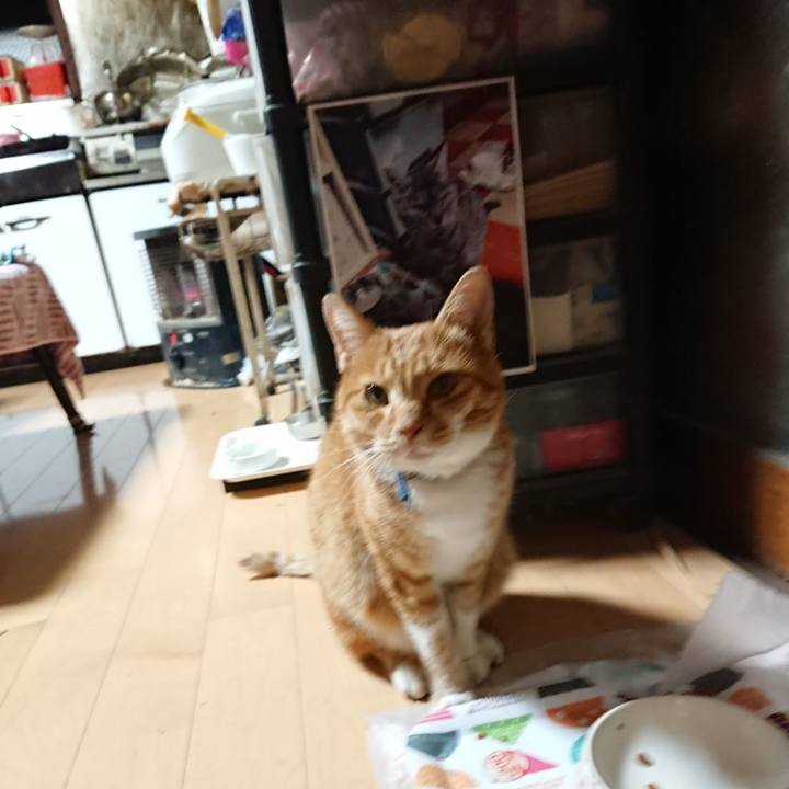 30bbdd2f 7598 4fae 999c efb921aaf31c 1603050709684