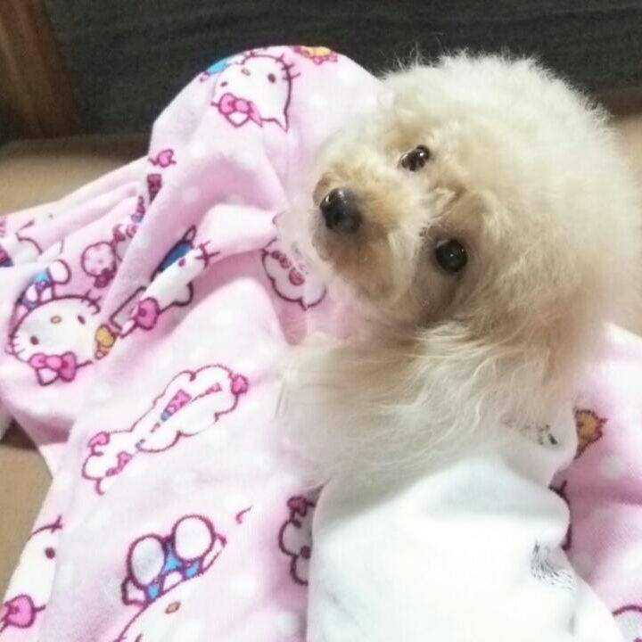 30bbe944 80b2 4b17 8c5b 8b4a09d07b02 1537498109412