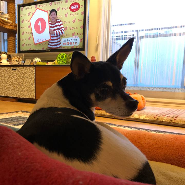 30bbe9de b808 4e3f ae99 2ed3cd5d1f2a 1549231286262