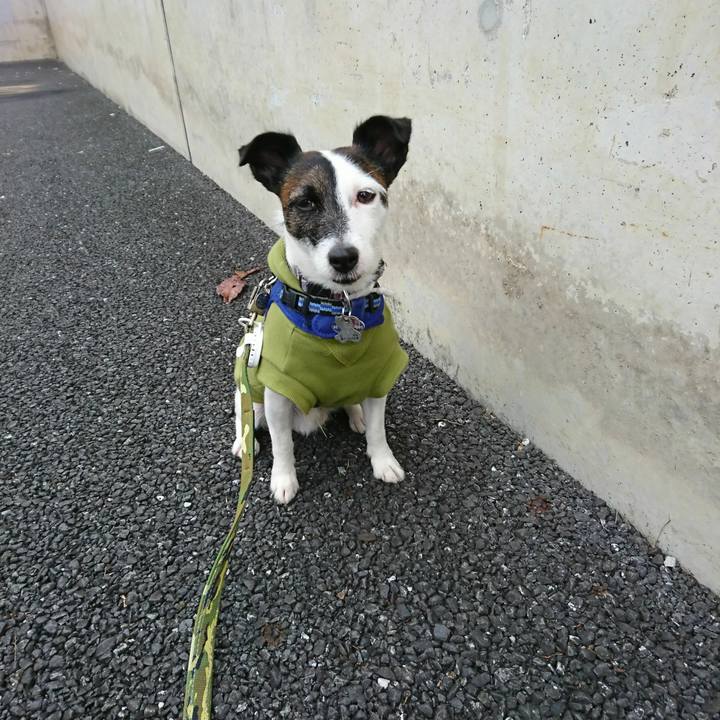 30bbf0af ea0f 49b0 8ca9 886cc46ac0ac 1510963146286