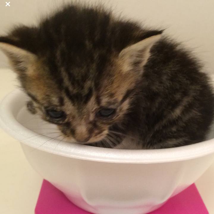 30bbfb32 3ead 4148 8746 b45141b880d9 1514100575886