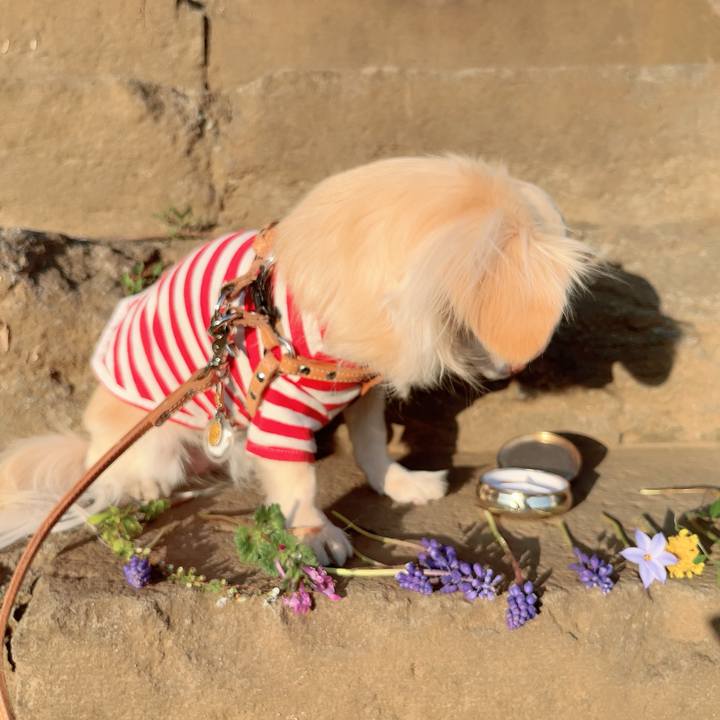 30bbfb8c e9ac 425b 85ff 21e328aa484c 1711115353094