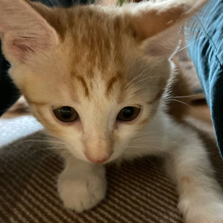 30bc5d6a 4365 403a 8d88 d6f1711fc79e 1751672307239