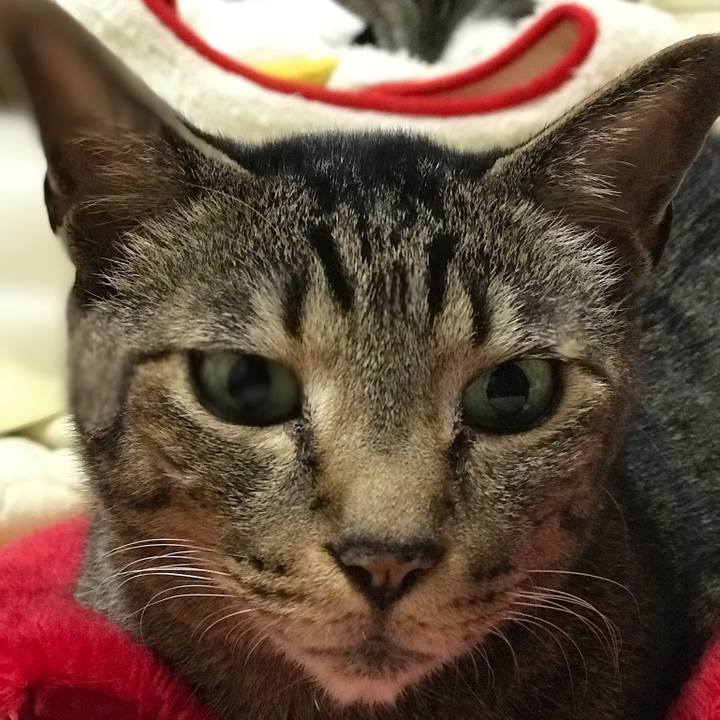 30bc5ddf ea7b 48bf 9200 641c3c9519bb 1527728113375