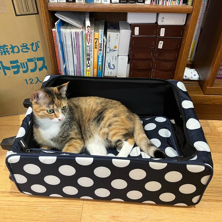 30bc8d04 bec3 499c ad08 3dbdb22dfb18 1682987220429