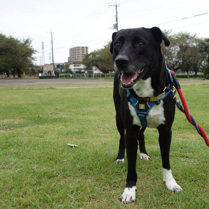 30bca2a7 117c 4965 a39d dfd11b2279dc 1632703833350