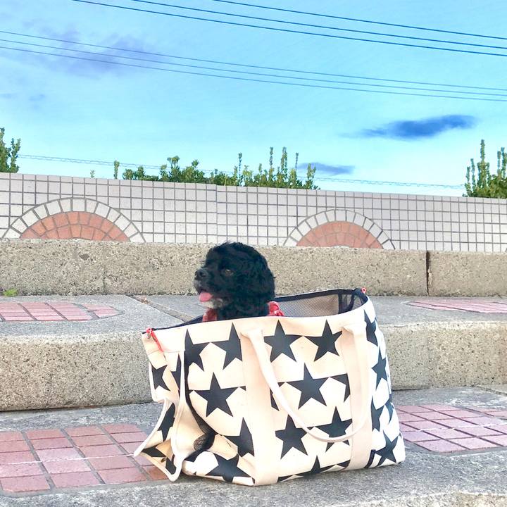 30bcbee8 4a6c 4ebd 892f 1cf21e8ef333 1536634525384