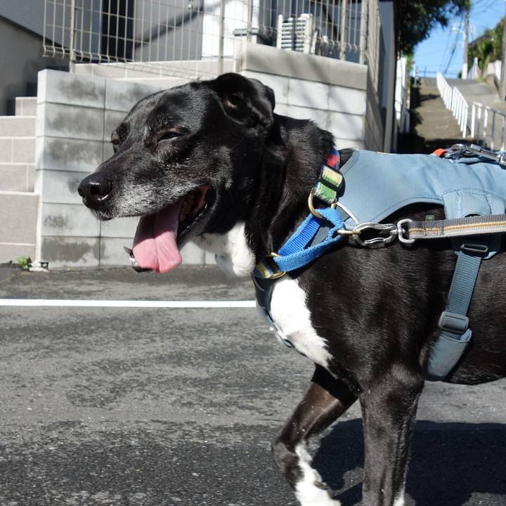 30bcd86f c481 4160 9129 b24fc53c78d0 1714004266804