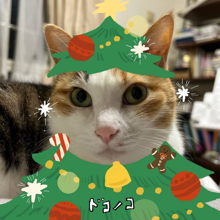 30bcfb48 1a00 47f5 aaf9 674ff1a3572b 1761307104539