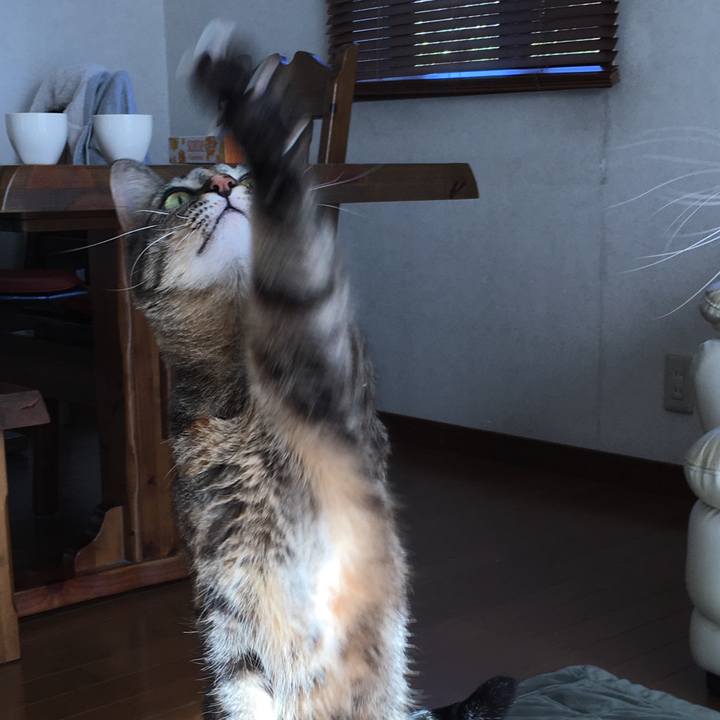 30bd1ccb 27c6 4ae0 92b1 00c3b93a09ae 1513250068217