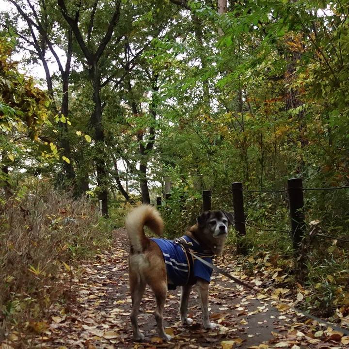 30bd52bf eb16 4b00 a1ea cc9ea9a91d0f 1574727848107