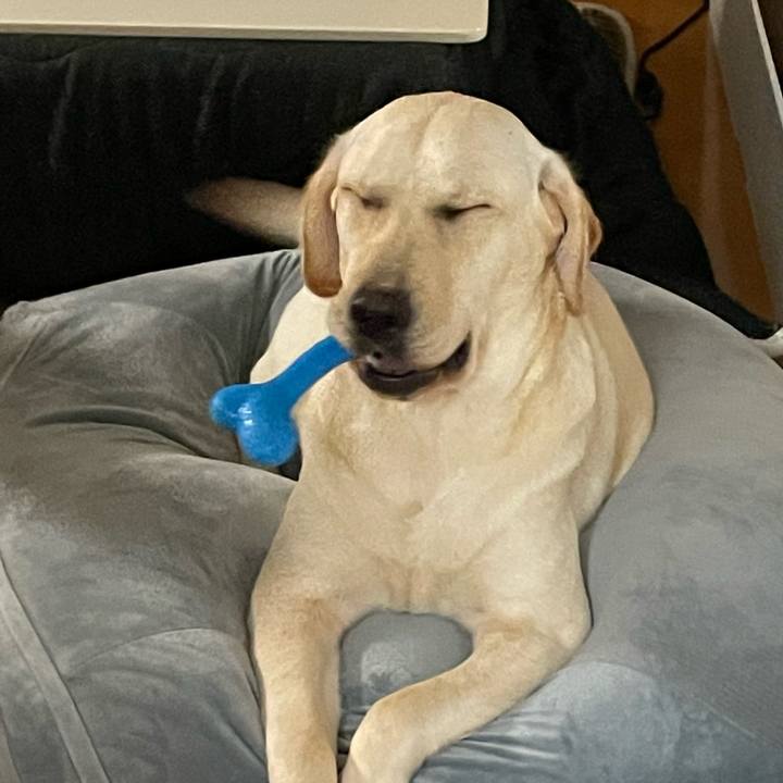 30bd5820 a36a 4137 98b2 e6dbfc6097a3 1642113644907