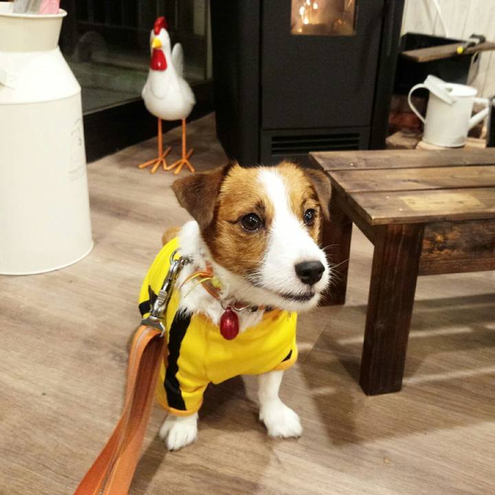 30bd6122 3f7c 4249 8822 29351ad553a5 1508886830930