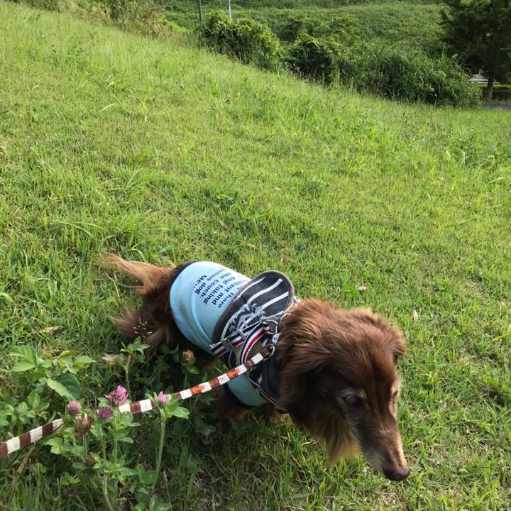 30bd7378 9658 40c1 b409 d0dc5cfc0894 1591600275236