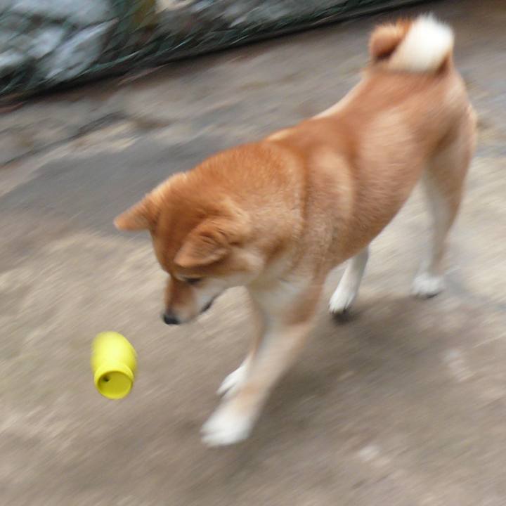 30bdb4ef 39c3 44e4 b6a6 fa634bbb19c1 1615873726118