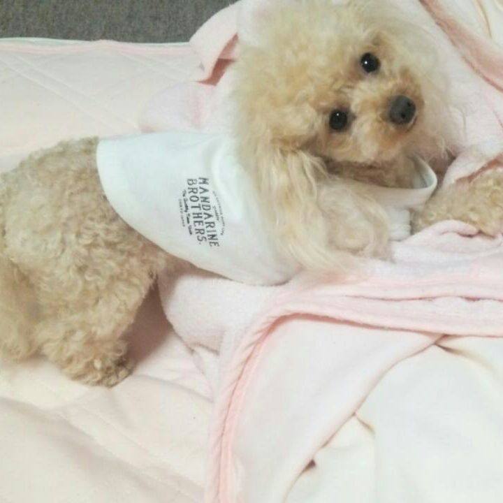 30bdef7c 7c6e 4db6 8482 ba264b1cee23 1534856310676