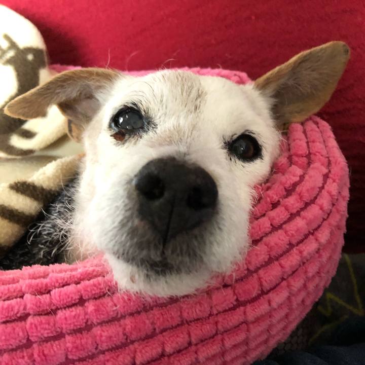 30bdf920 6186 4b0b 98a9 4631b050391a 1648972492937