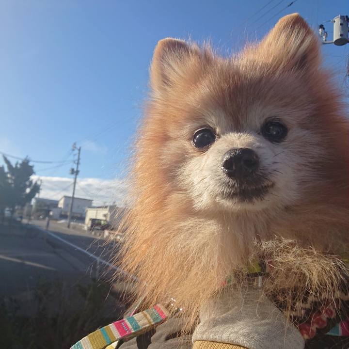 30be2269 2001 4273 acf2 880a677696af 1674115613671