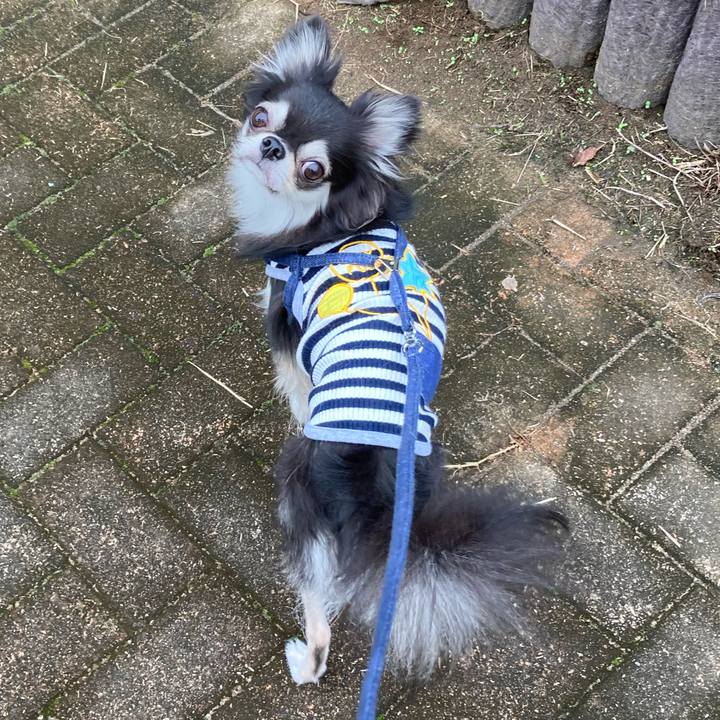 30be48e2 5526 4db2 ae49 bae5a44de34b 1665842364838