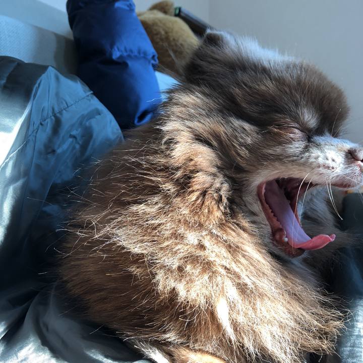 30be908b 83bf 4f42 8713 f30cc5e3bc8e 1551418166755