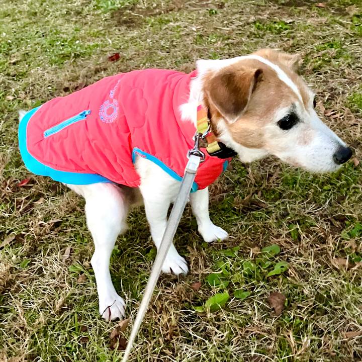 30be9dbe 6c90 48a3 8f3b d3bb43450469 1702725842151