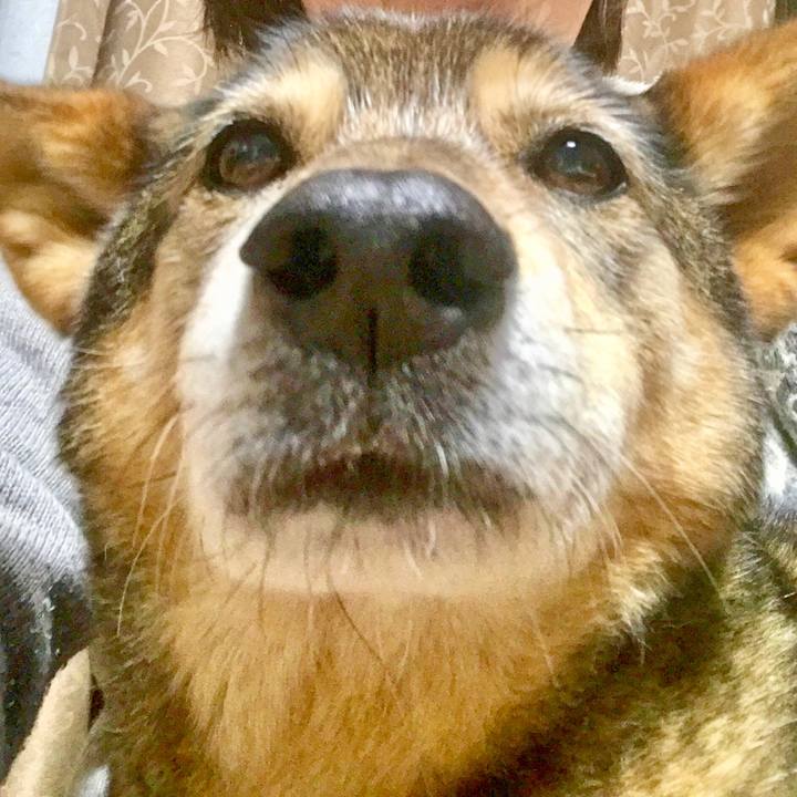 30bec348 436f 4568 9732 47ccd43b0701 1523504523005