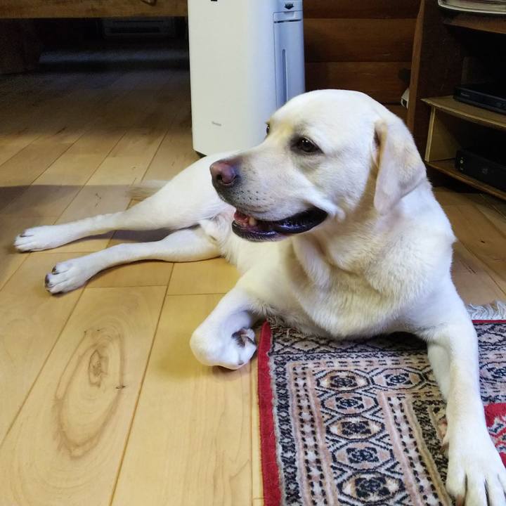 30bf019b e69e 4981 8698 d507e7929282 1531041631553