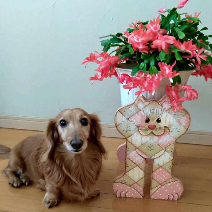 30bf29af 438b 40cd 8e02 1a06dc92e4e0 1706320621206