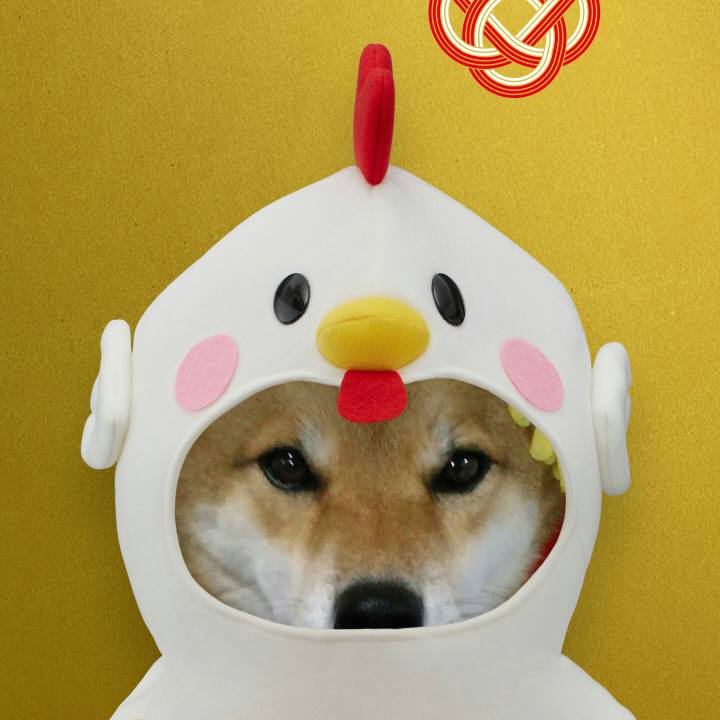 30bfe6be b8ed 4f40 9604 e3ebc4b7ecf1 1509207506555