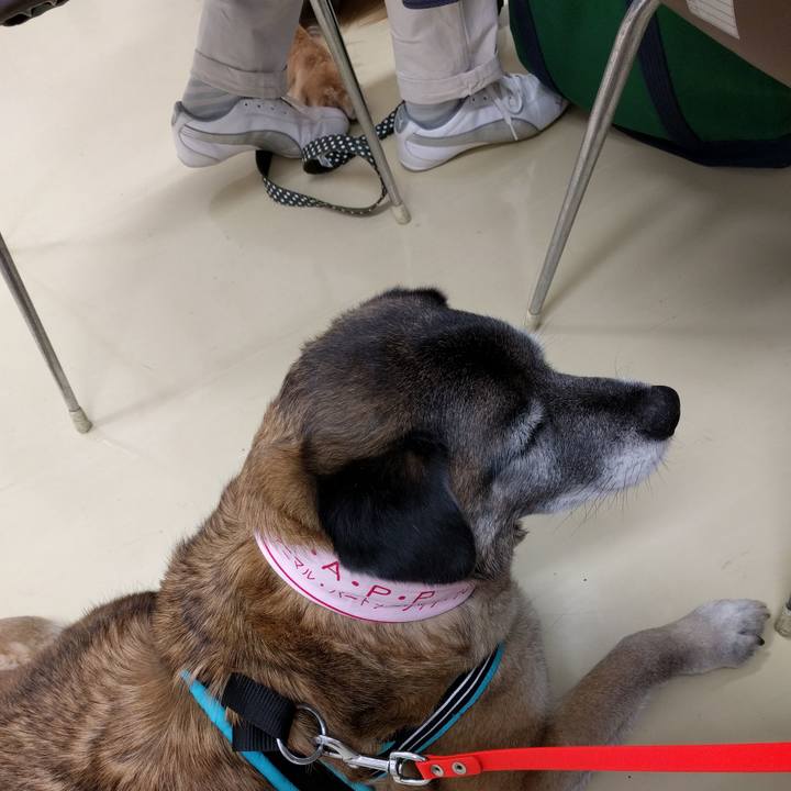 30c02a54 91f8 4484 aca0 66c0fbc7a69e 1716512078441