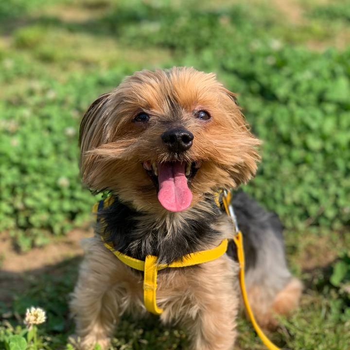 30c05a2a ec12 431e a6d7 0fcec06cd5fb 1588461886768