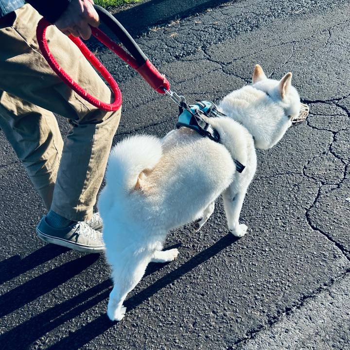 30c06a38 fb26 4409 9f31 82c82fc217c5 1697932978698