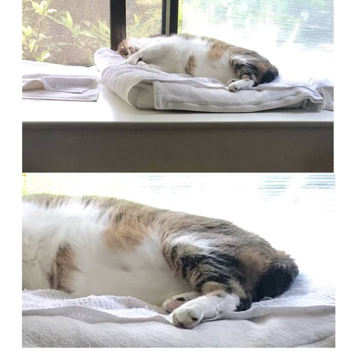 30c06bf1 3ecf 47dd 8b91 2f4fa1604831 1623719734476