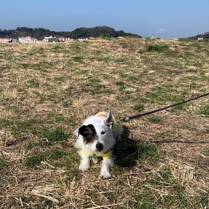 30c095ee 5ce4 4f89 a11d 485e9a24d0fd 1678150959009