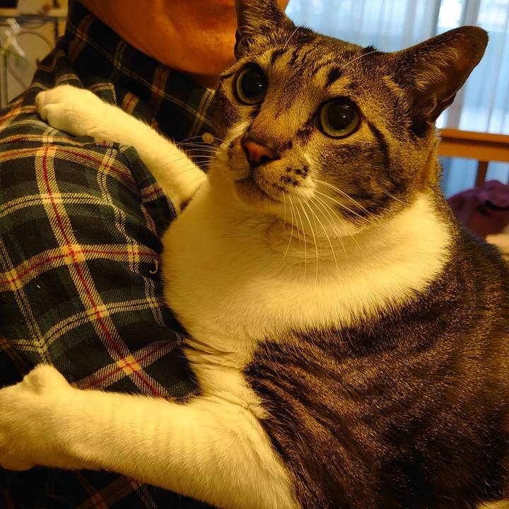 30c0adf7 6830 4d27 82c1 cfa374bdb7d6 1618046327162