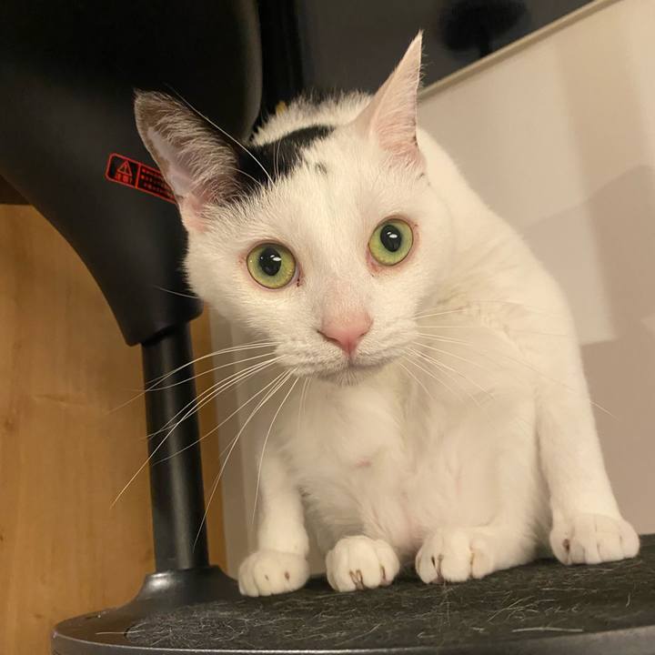 30c0b838 ecc3 40a8 ad55 7d6d86c88ca3 1747395607346