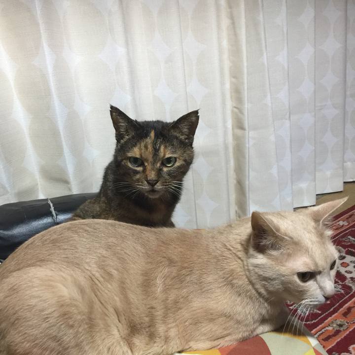 30c0bbd9 4eb5 40fc 9489 55dfb1ed9969 1559237153286