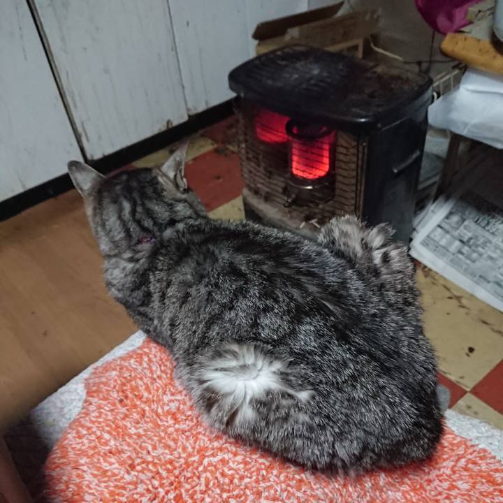 30c0f293 6317 41cd baca c00335fb263c 1582924970723