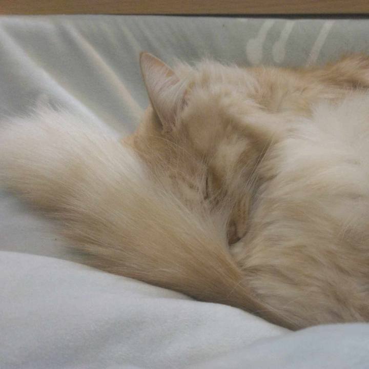 30c127d8 693c 49f4 b606 40104ad7f7ca 1702553114949