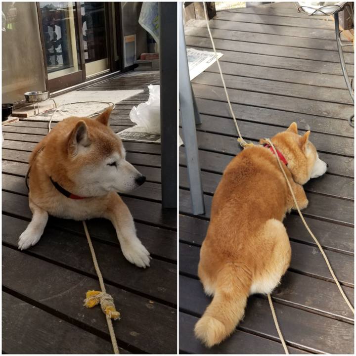 30c12eb0 c099 4930 9e7e 548ae693420c 1710720672661