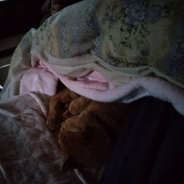 30c13aab 79e9 4581 bd99 ea032bcdb98f 1664574171274