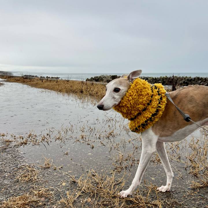 30c196dd a4fc 4efe 96d9 f7e71cc65920 1768033494977