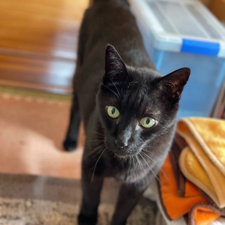 30c1b48d 8e93 42c9 a202 01655d8ba442 1655171661470