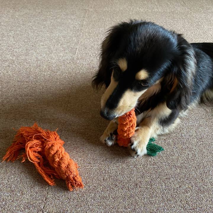 30c1c997 077b 4d2f ada4 a6dbcd292cc4 1684063054742