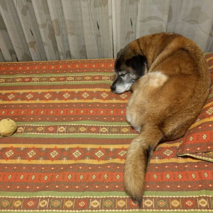 30c1dac8 4794 4c7d aea2 391c5287738f 1524146156541