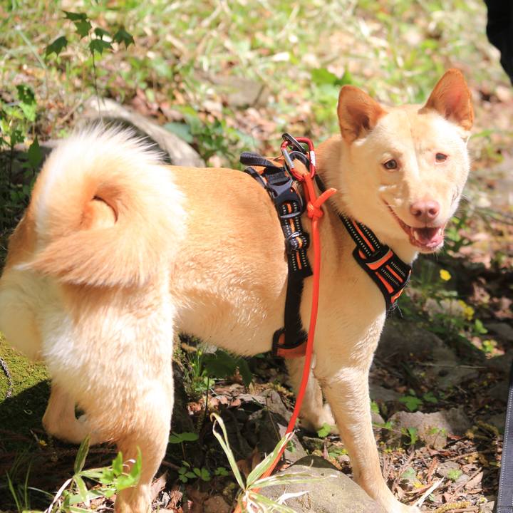 30c1e561 60b2 43f9 b1ce f7bc4c663e00 1557206064257