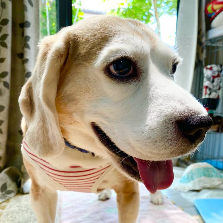 30c1eb89 d394 41f1 93cd b51959d88757 1622433226908