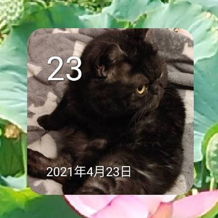 30c201a2 0639 4b2c b362 6ab0bd7e7b3b 1682220686118